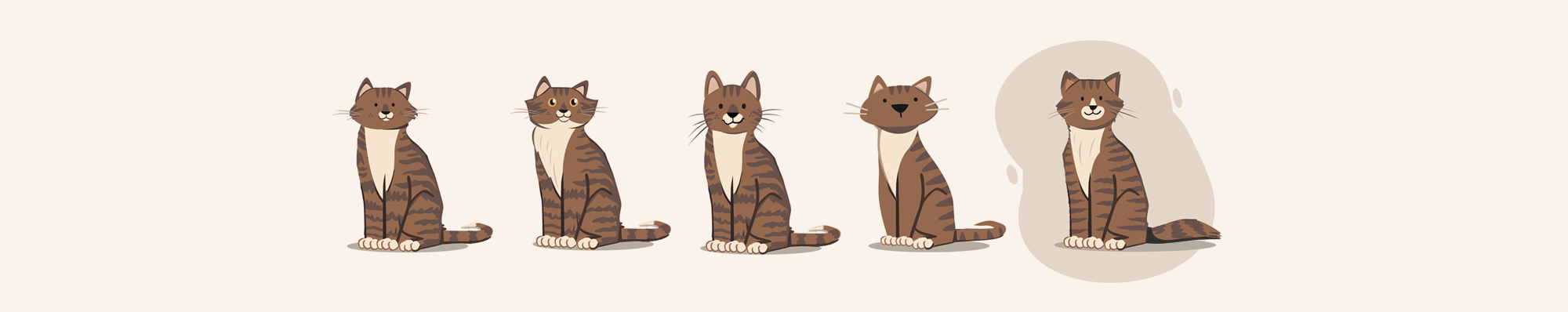 long-cat-strip